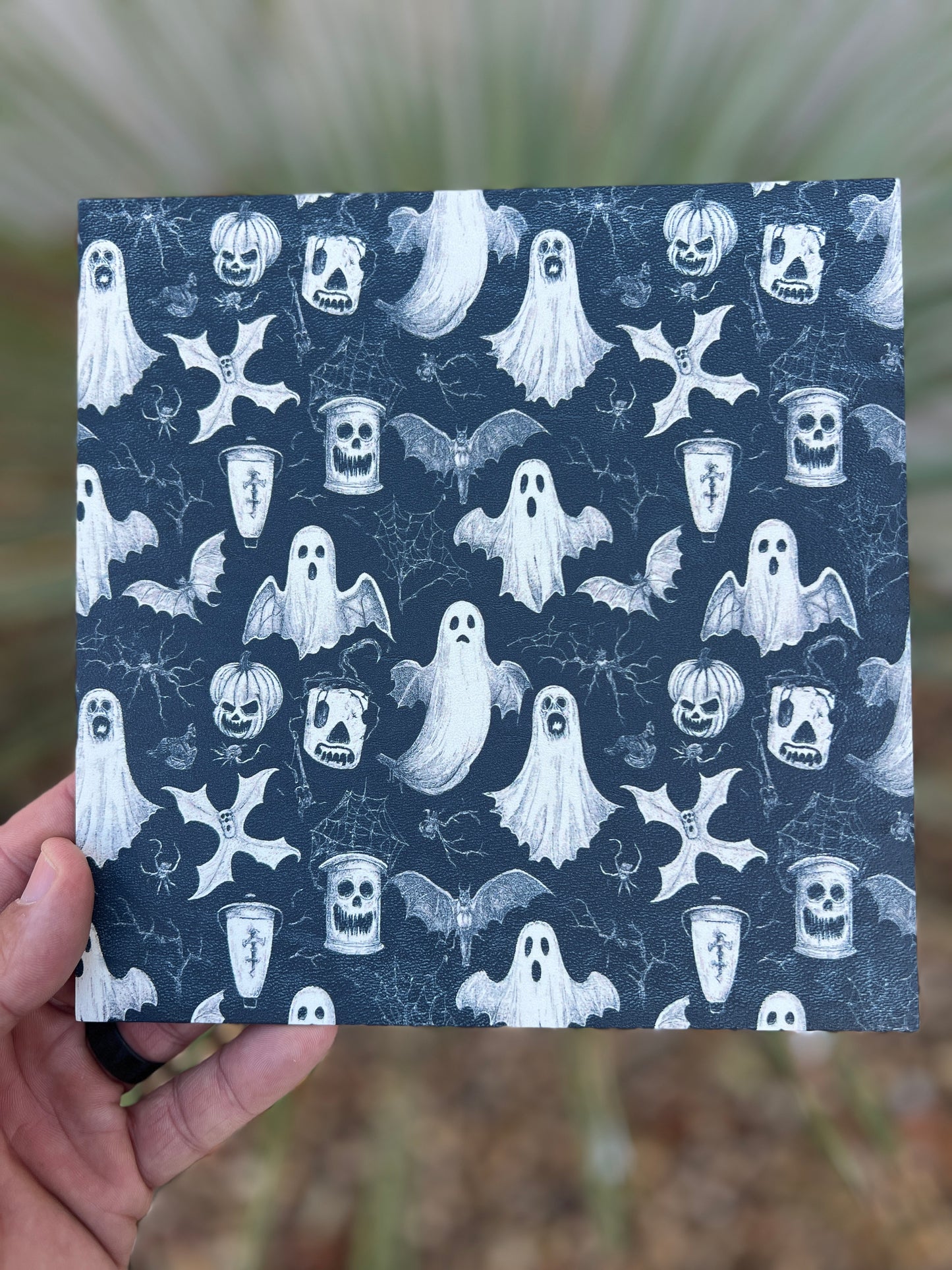 Phantom Nights