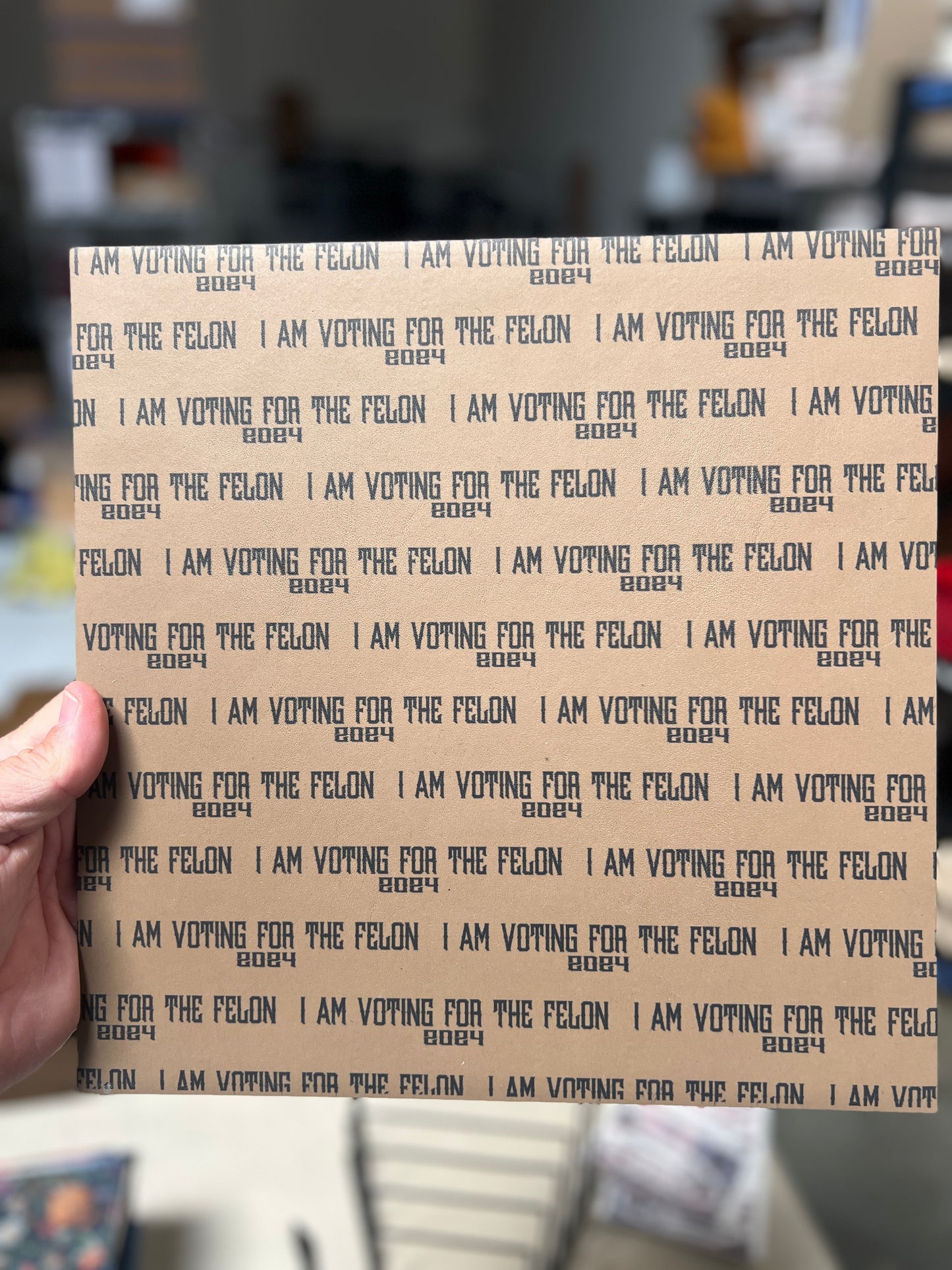 Trump I Am Voting For The Felon 2024