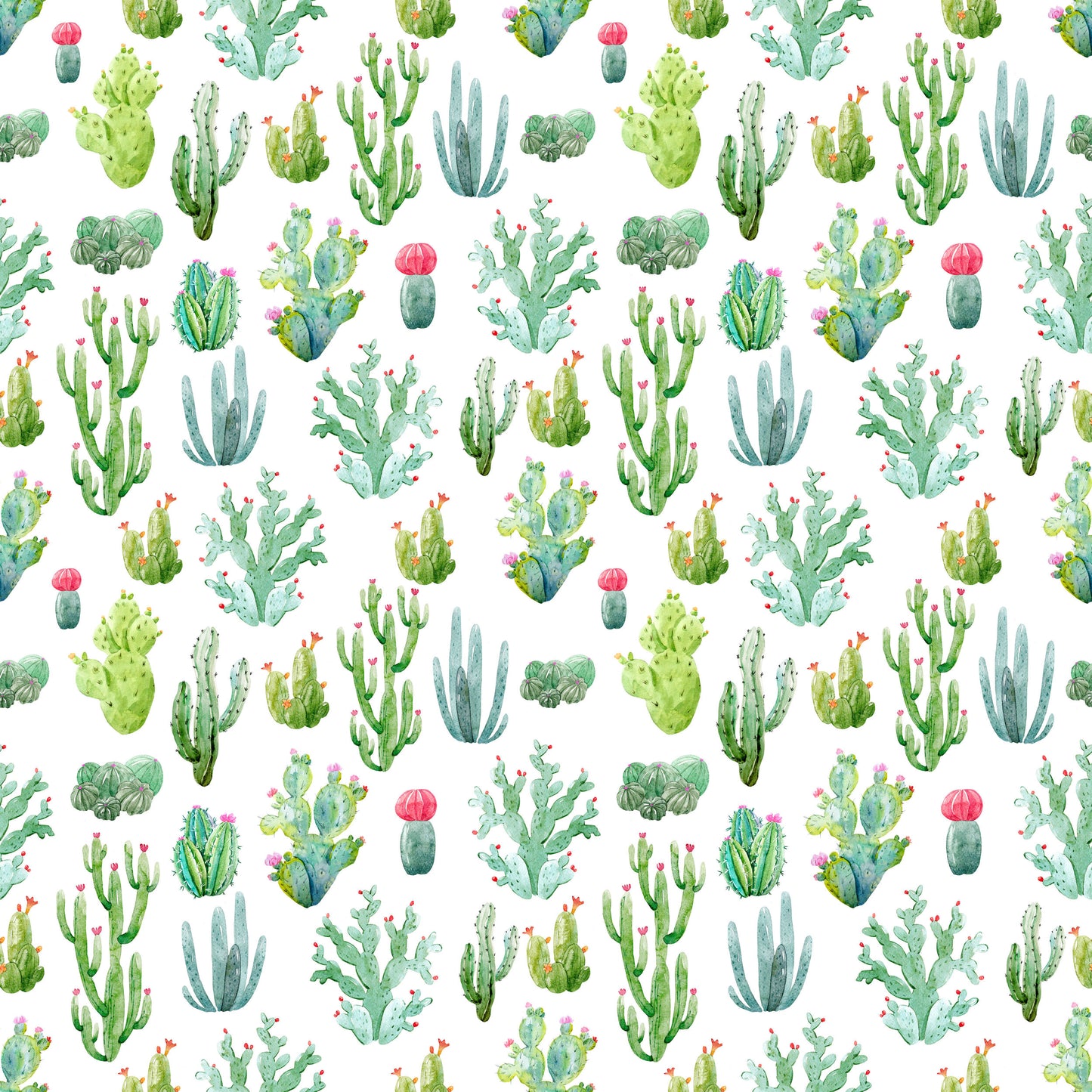 Desert Cactus
