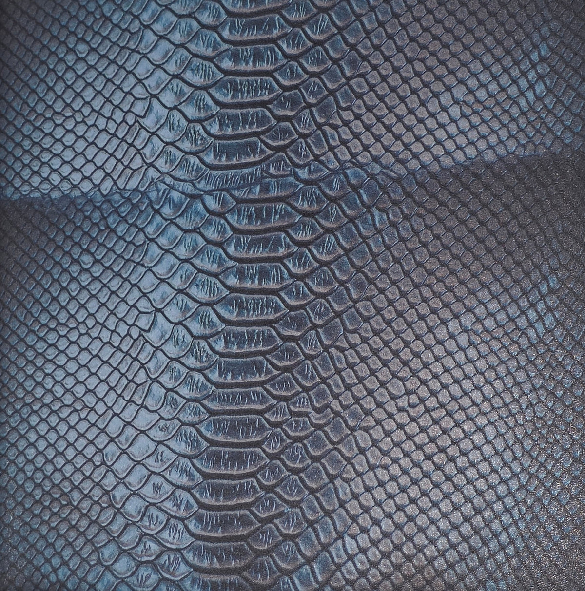 Blue Viper specialty print