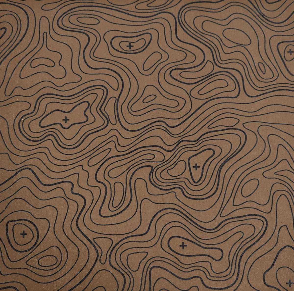 Coyote Topo specialty print