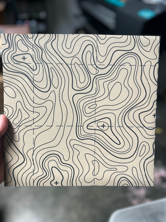 Gray Topo 12x12 (faded edge but will get cut off) (Copy)
