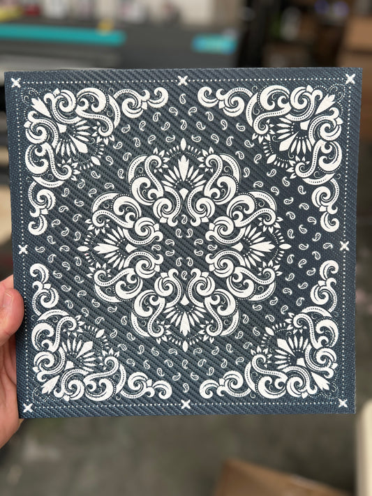 Paisley on Carbon Fiber 12x12