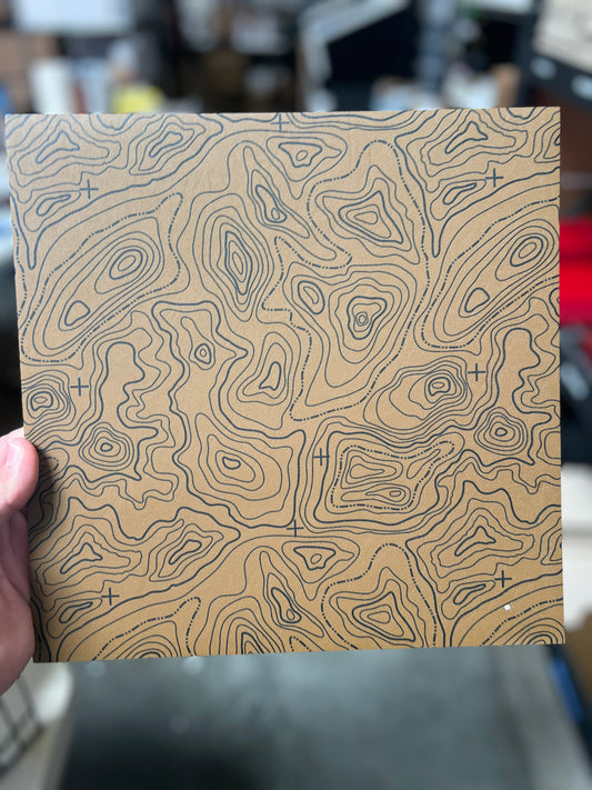 Coyote Topograph 12x12 (small white spec lower right corner)