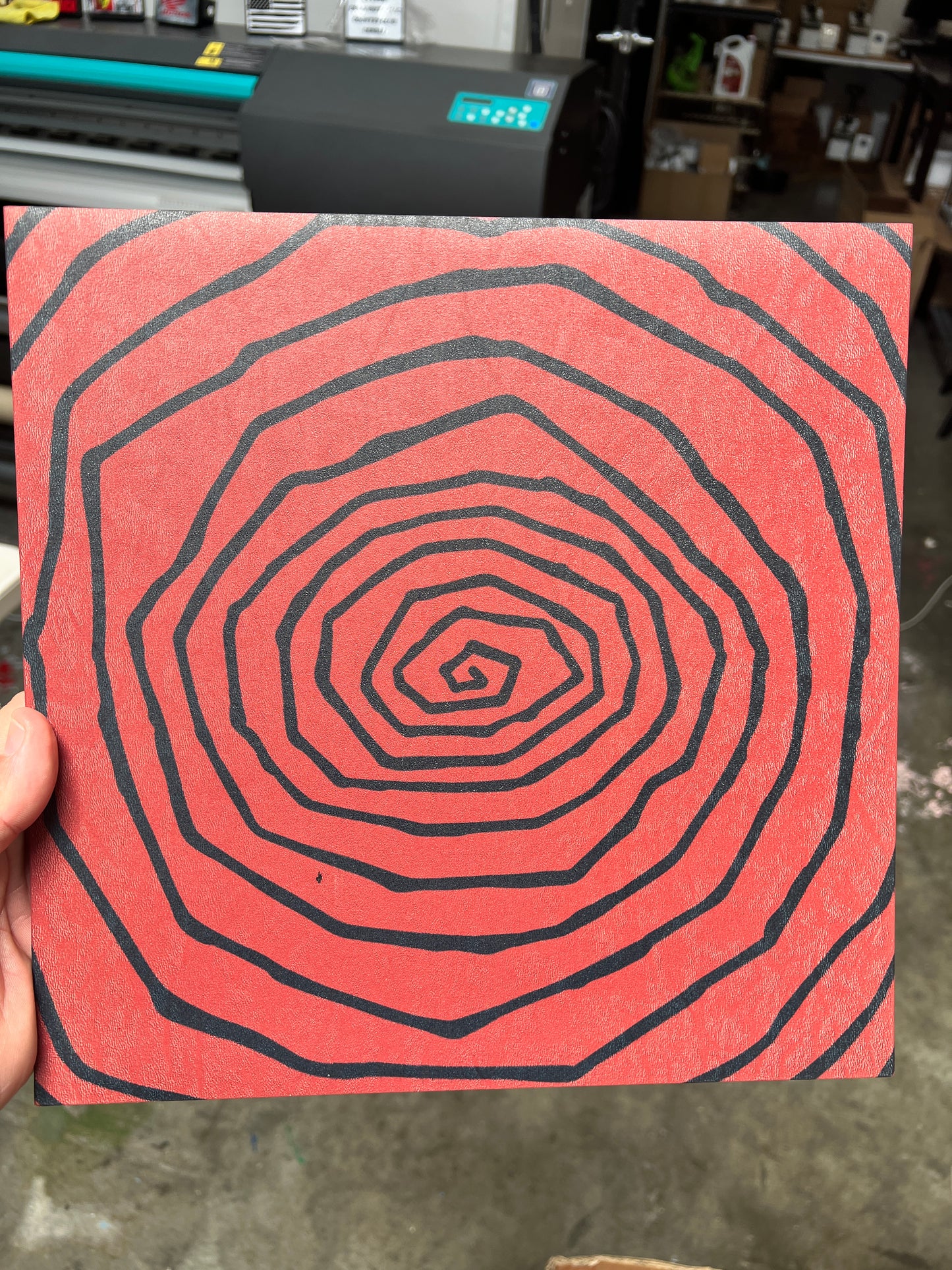 Dizzy 12x12 (small black spot on top right)
