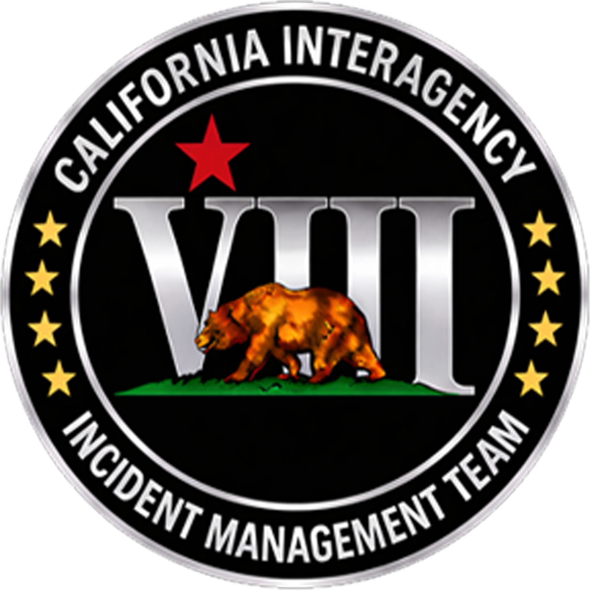 Incident Management Team VIII 3.5" Embroidered Patch w/ Velcro Back