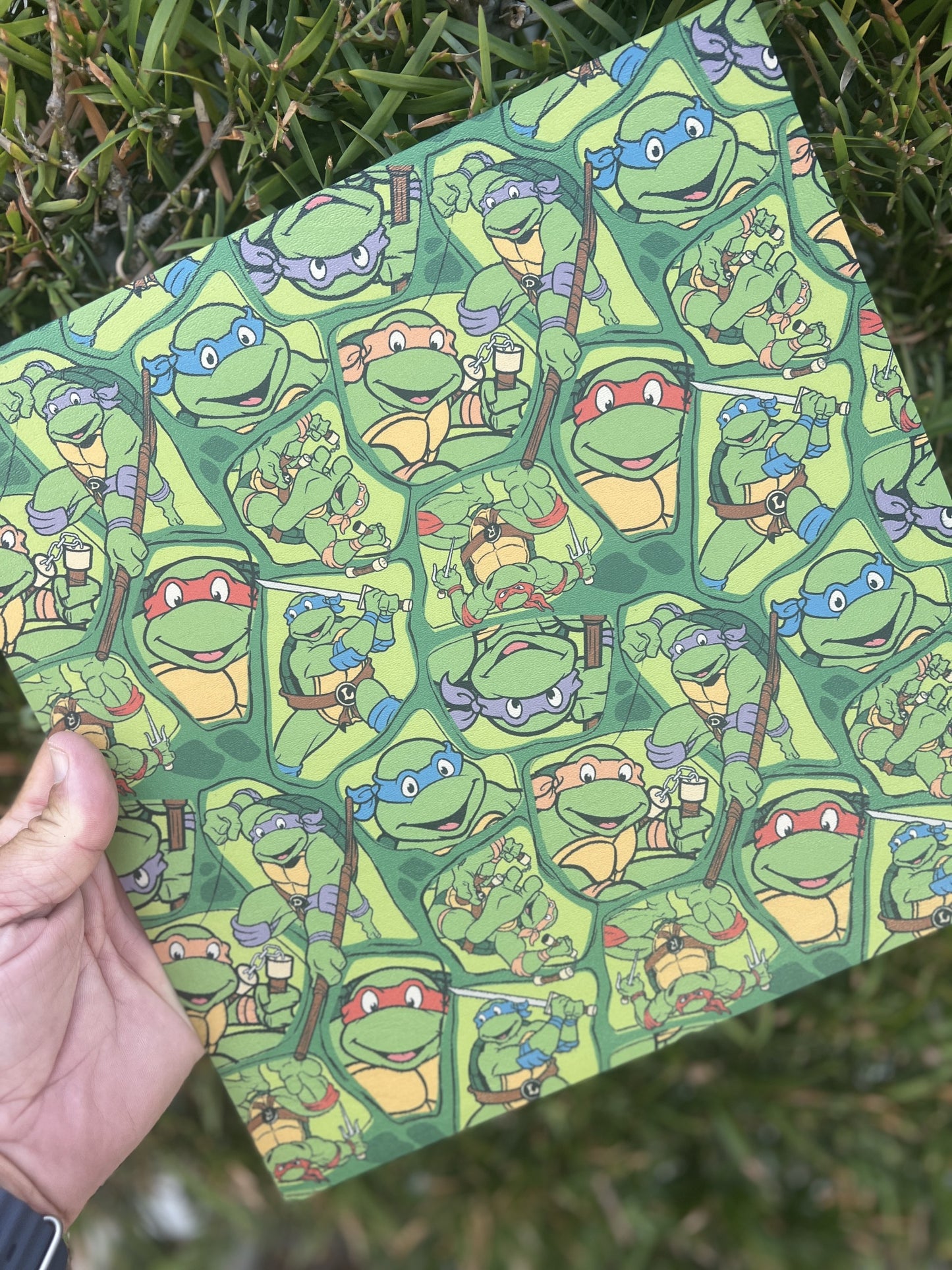 Ninja Turtles