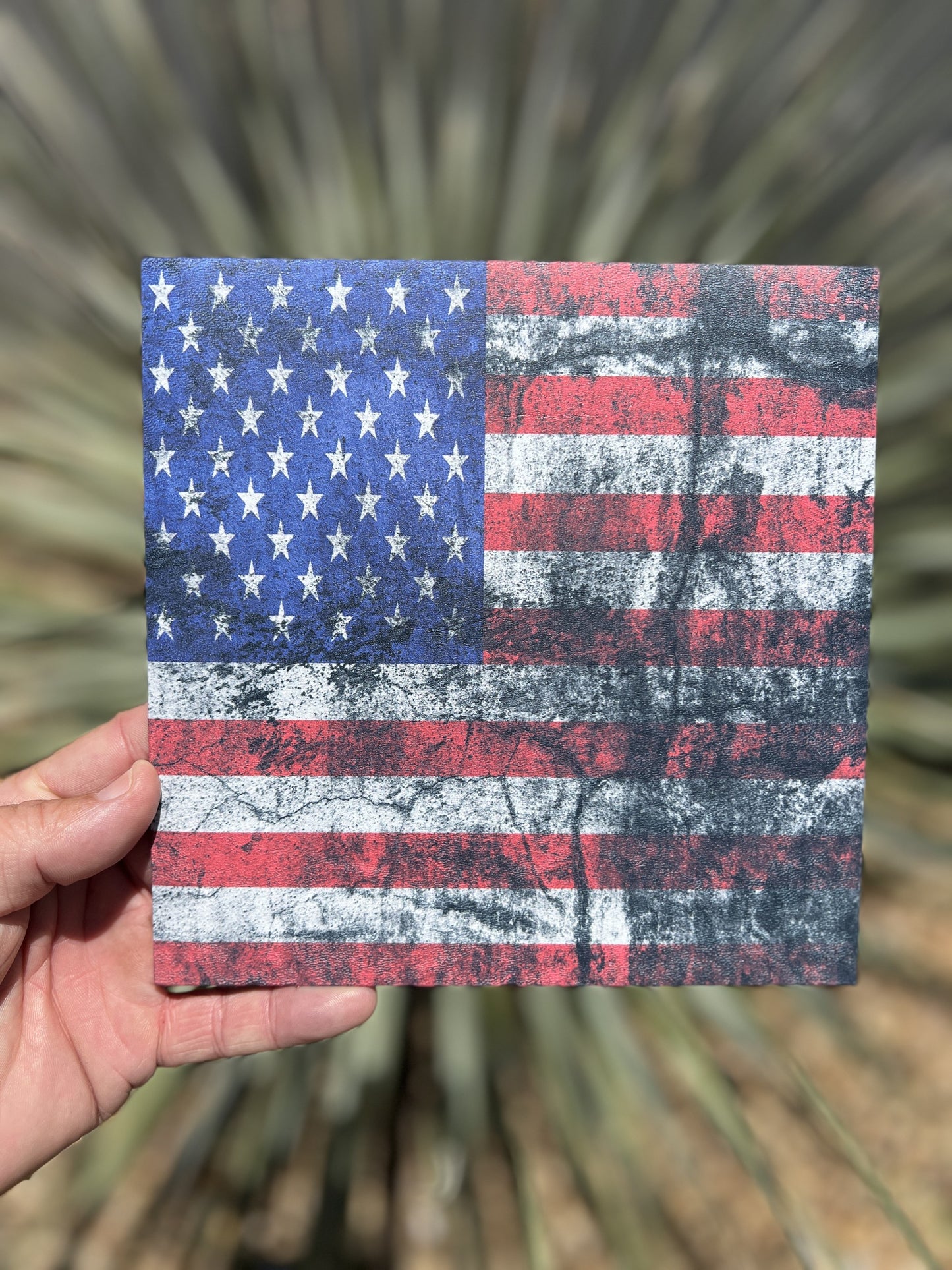 250 Anniversary Flags