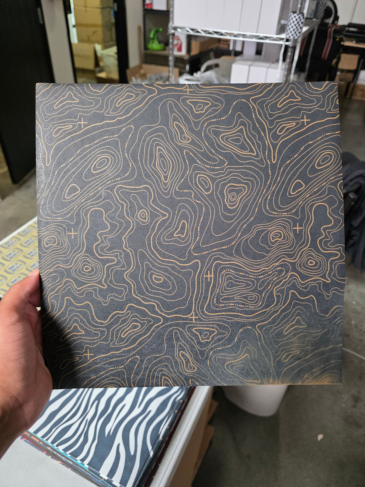 Coyote topo (faded spot in corner)