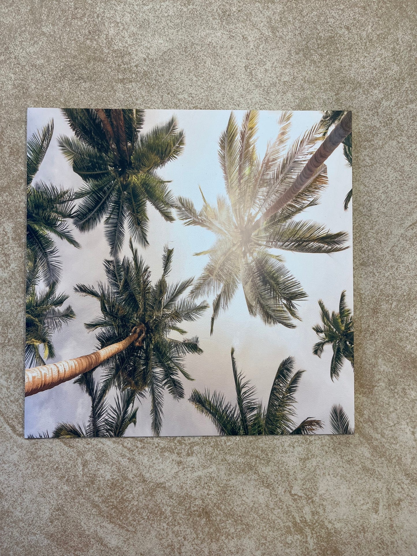 Palm Trees