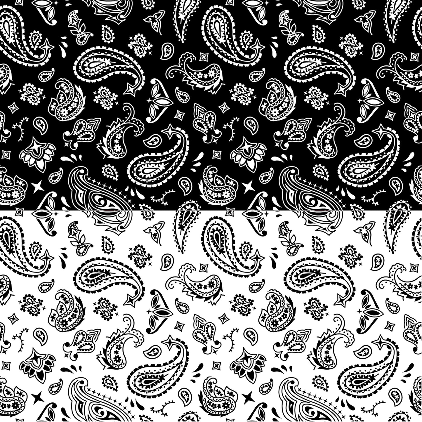 Black and White Bandana