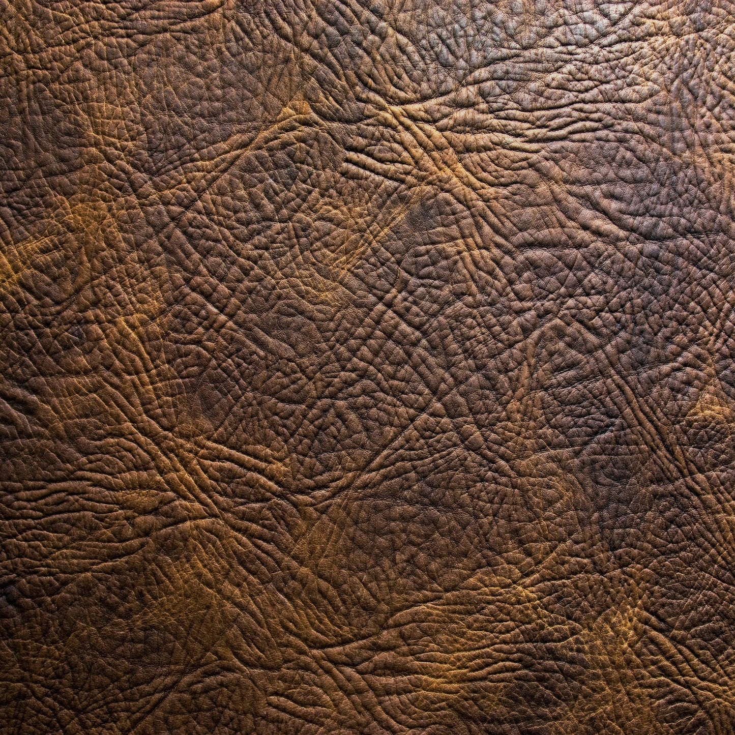 Brown leather (2)